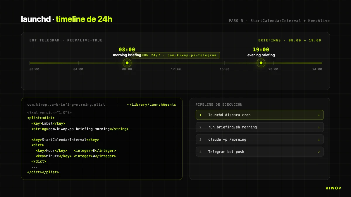 Timeline de ejecuciones de launchd — bot 24/7, briefing matutino a las 08:00, briefing vespertino a las 19:00