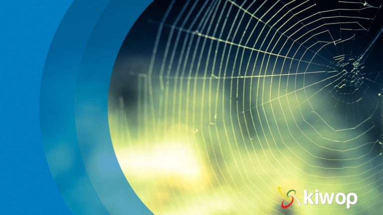 presupuesto desarrollo web