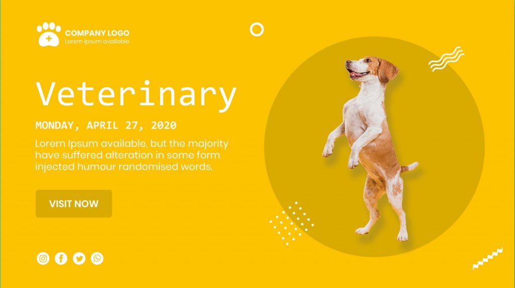 desenvolupament de la landing page