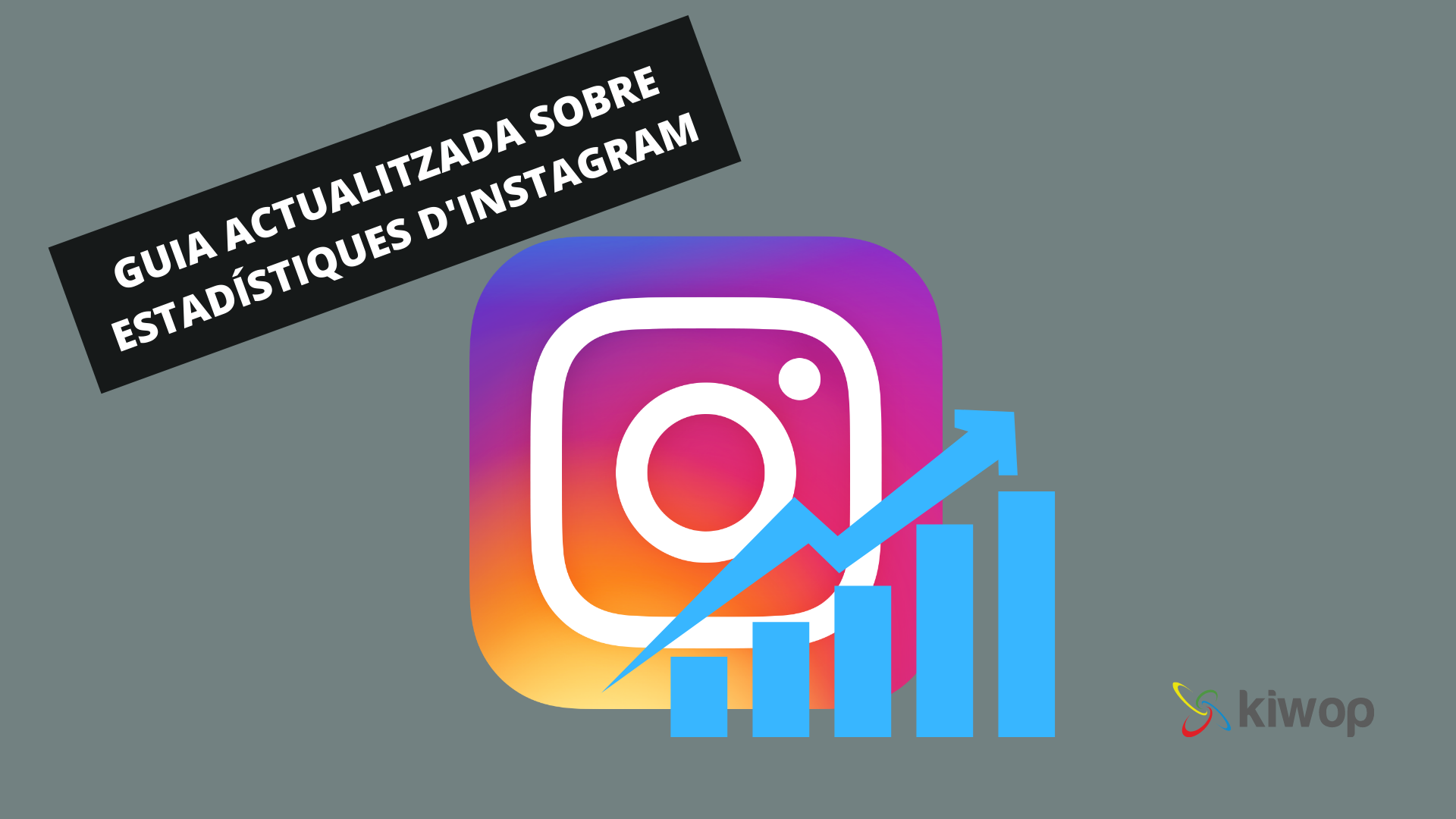guia actualitzada estadistiques instagram