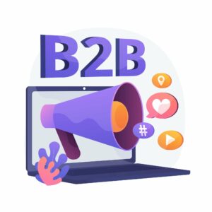 La guia definitiva sobre com crear un bon B2B online