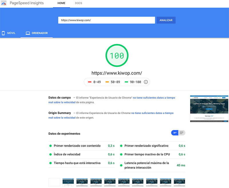 Nota 100 Google PageSpeed Insights Escritorio