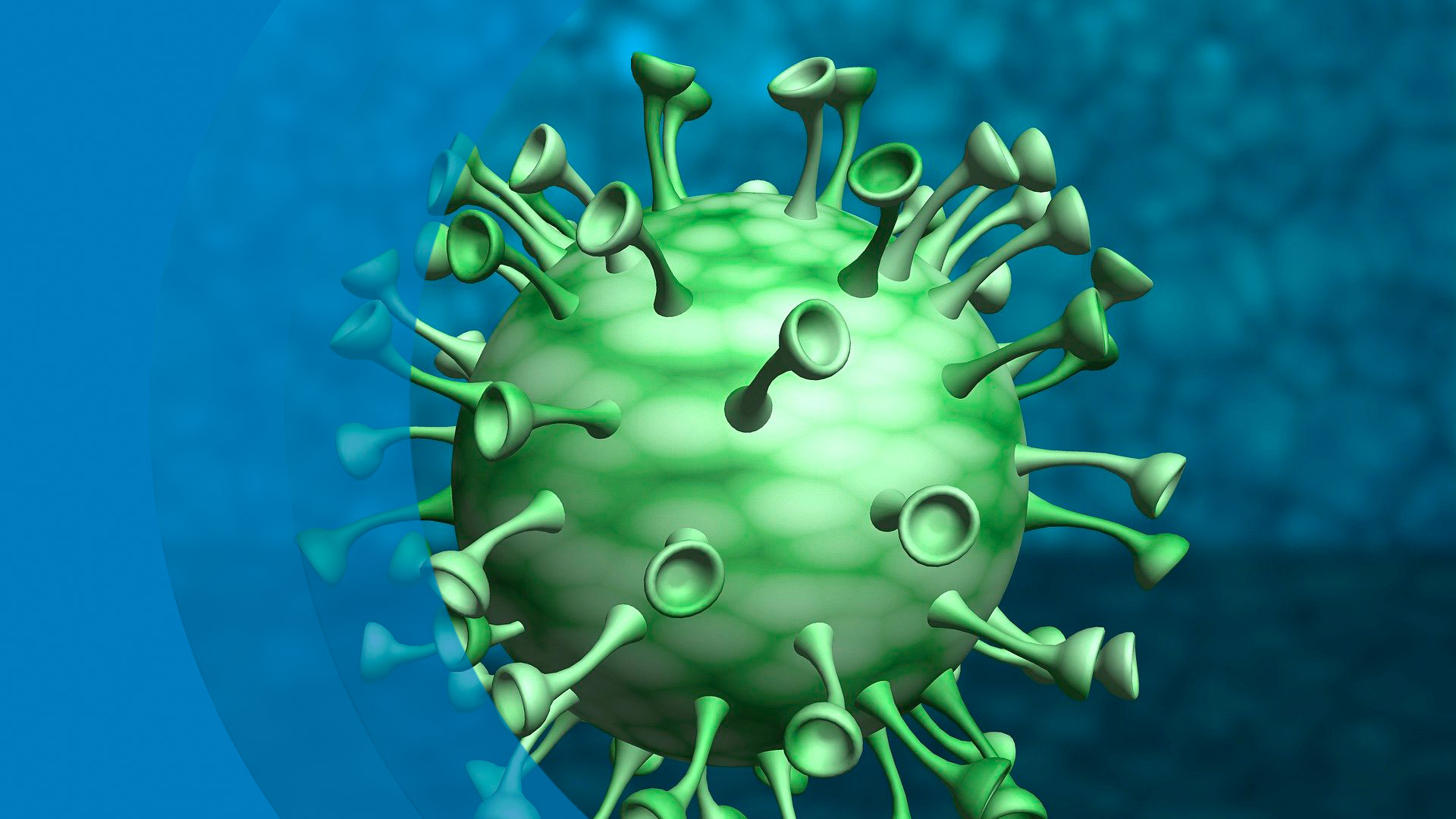 Por qué invertir en Web y Marketing Digital en tiempos de Coronavirus