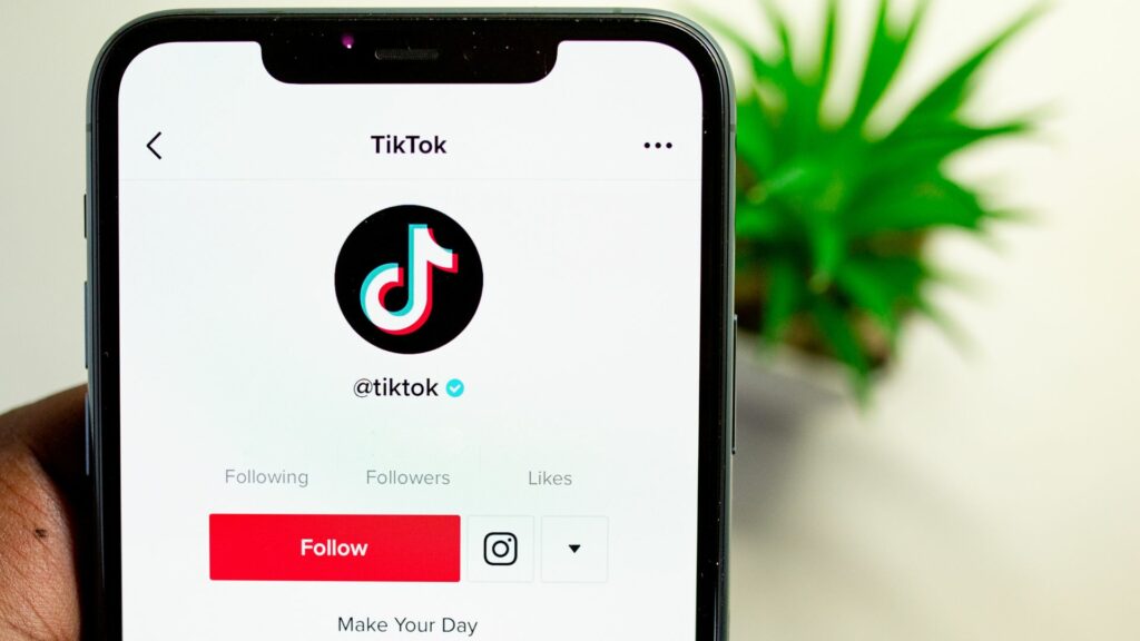 tiktok ads how it works